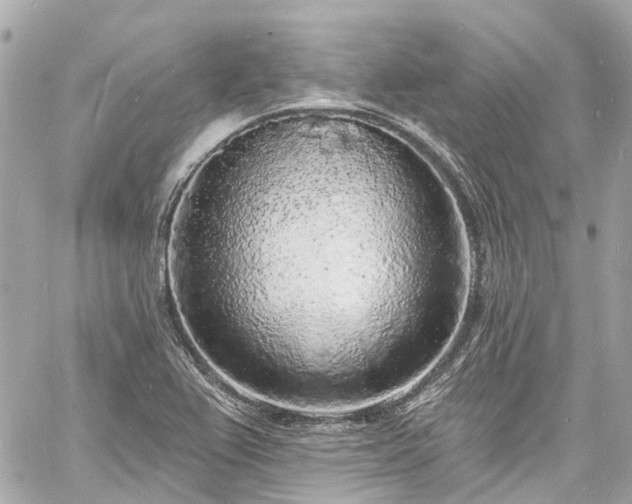 X0000060811367200511141455