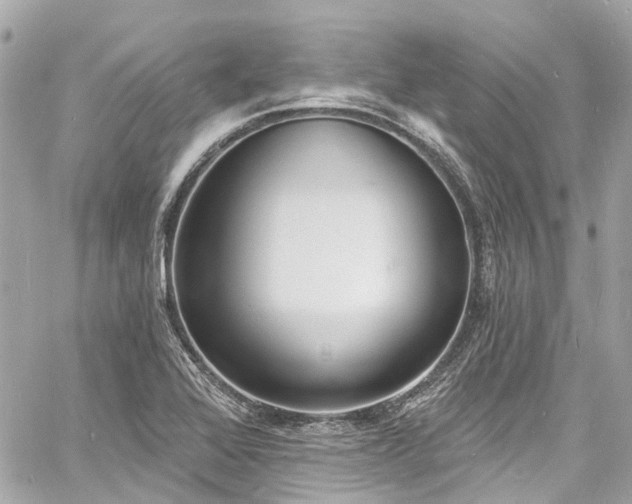 X0000060811368200511141455