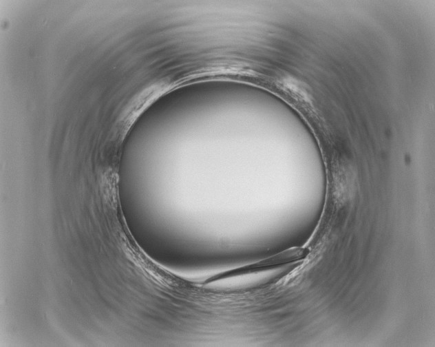 X0000060811369200511141455