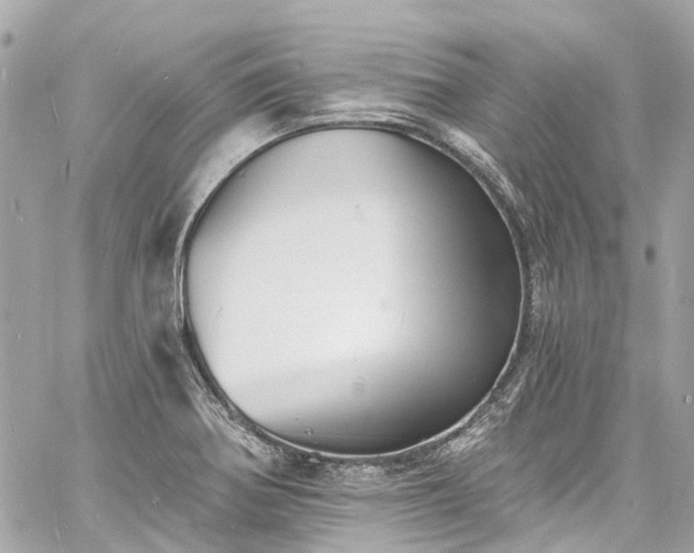 X0000060811370200511141455