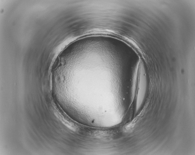 X0000060811371200511141455