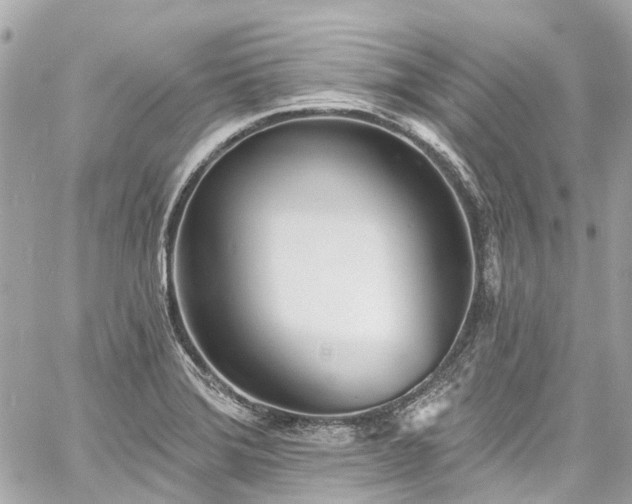 X0000060811372200511141455