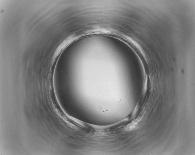 X0000060811373200511141455