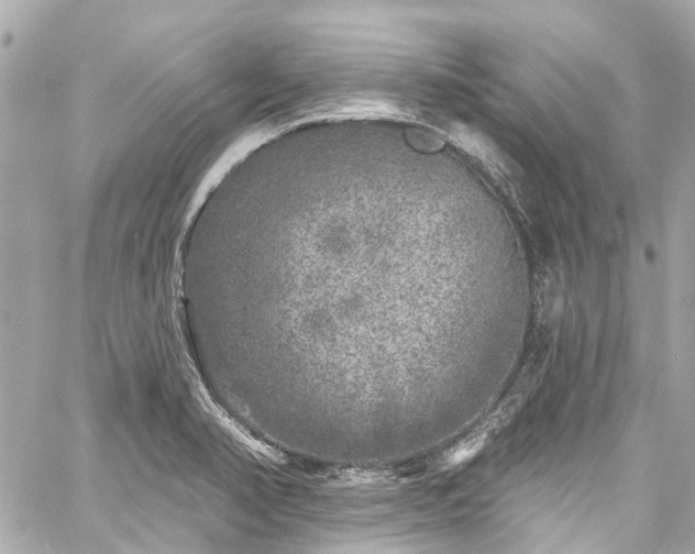 X0000060811374200511141455