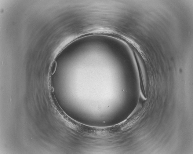 X0000060811375200511141455