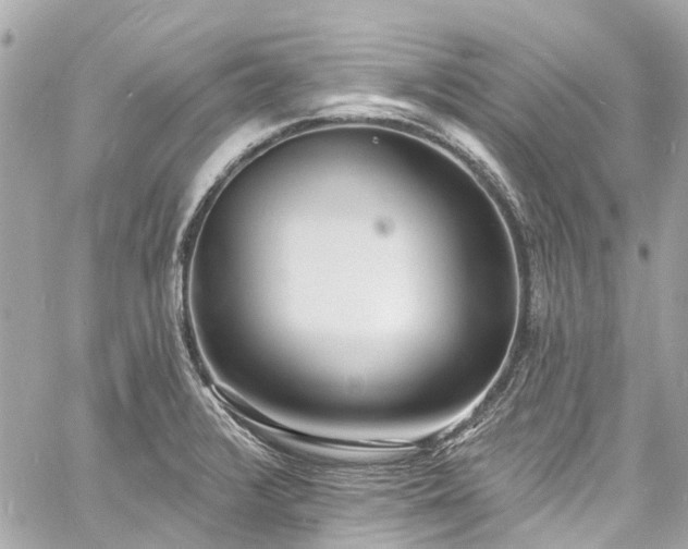 X0000060811376200511141455