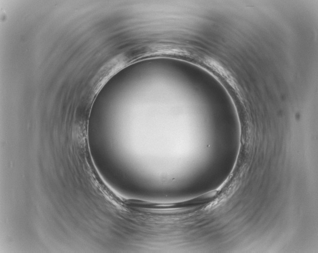 X0000060811377200511141455