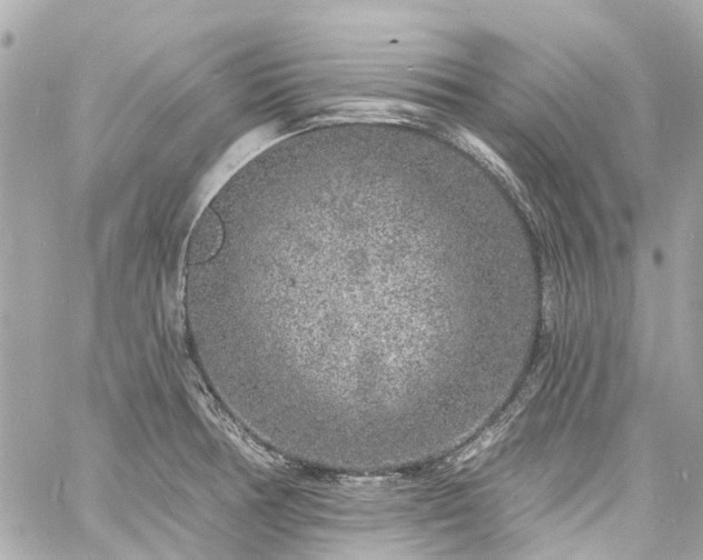 X0000060811378200511141455