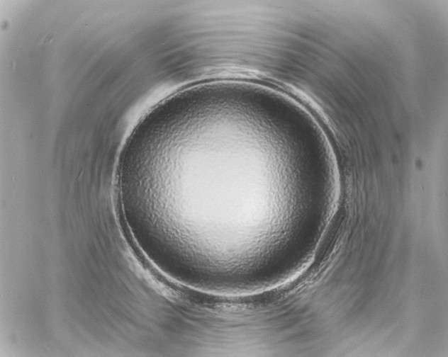 X0000060811379200511141455