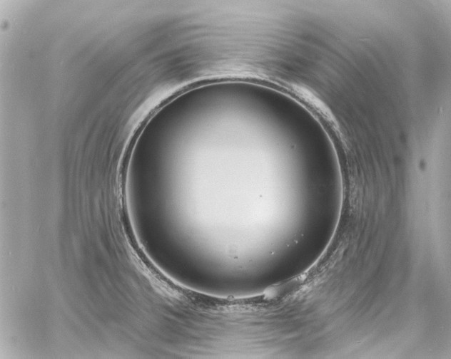 X0000060811380200511141455