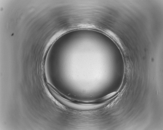 X0000060811381200511141455