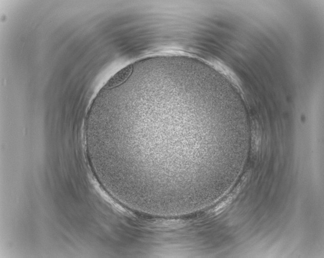 X0000060811382200511141455