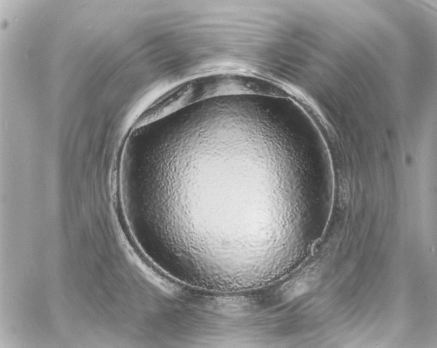 X0000060811383200511141455