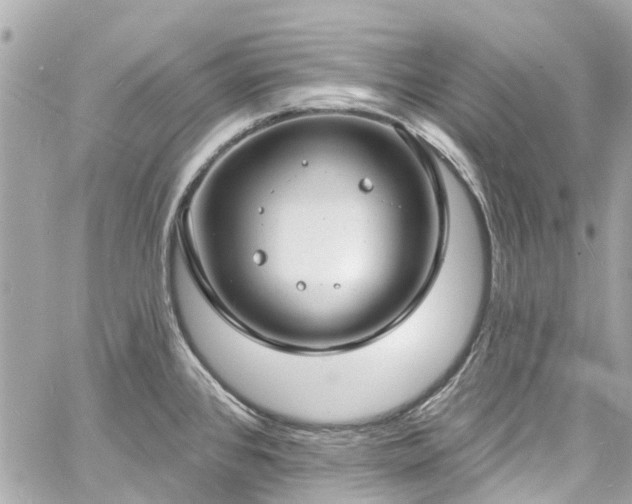 X0000060811384200511141455