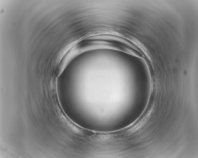 X0000060811385200511141455