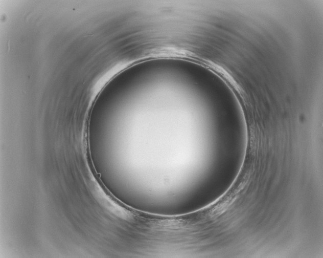 X0000060811387200511141455