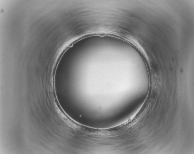 X0000060811388200511141455