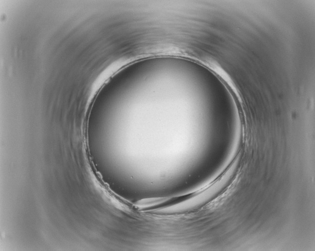 X0000060811389200511141455