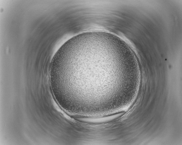 X0000060811390200511141455