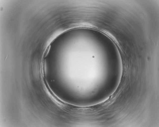 X0000060811391200511141455