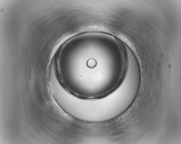 X0000060811392200511141455