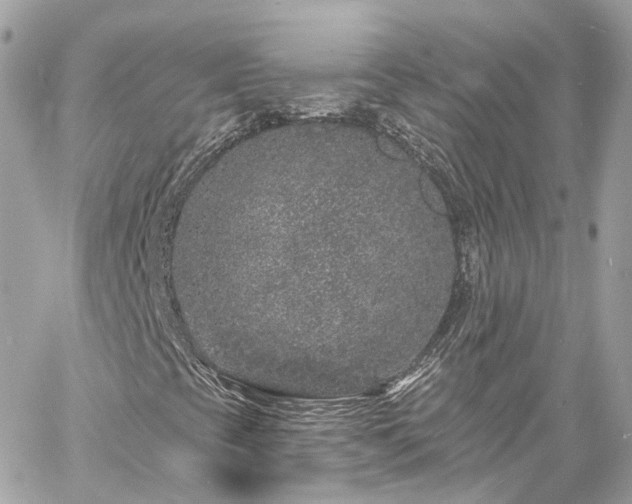 X0000060811393200511141454