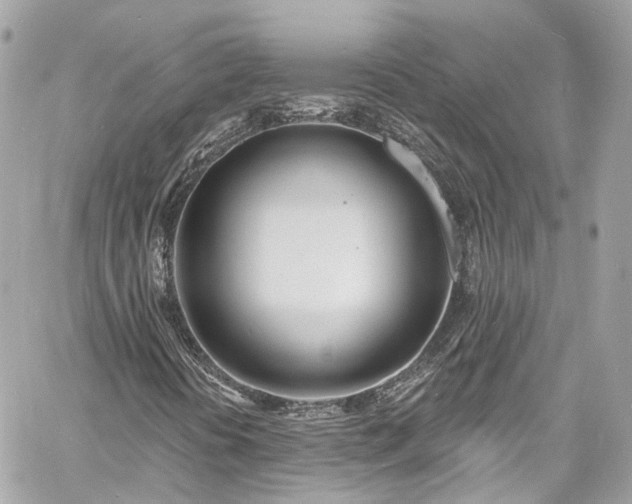 X0000060811394200511141454