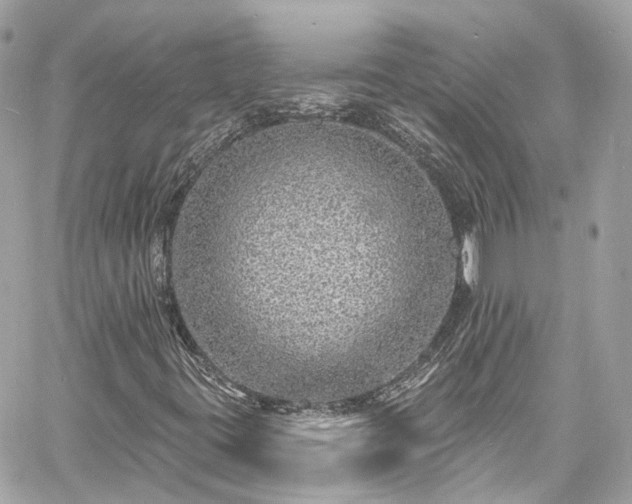 X0000060811395200511141454