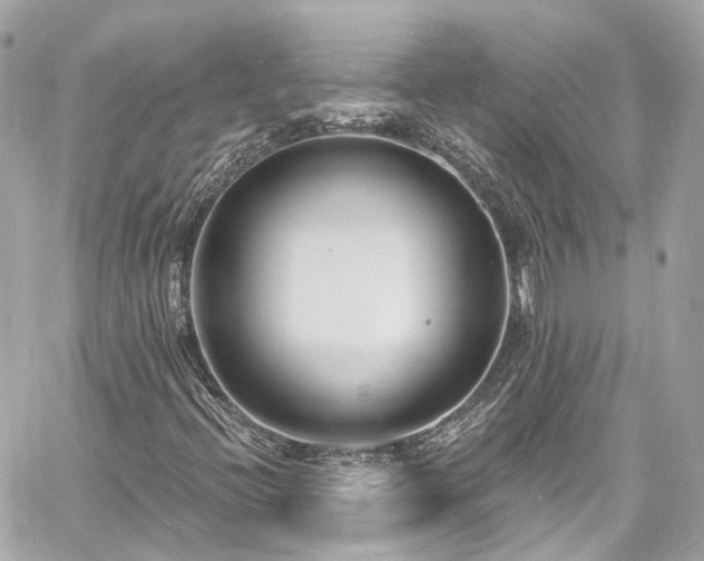 X0000060811396200511141454