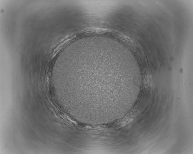 X0000060811397200511141454