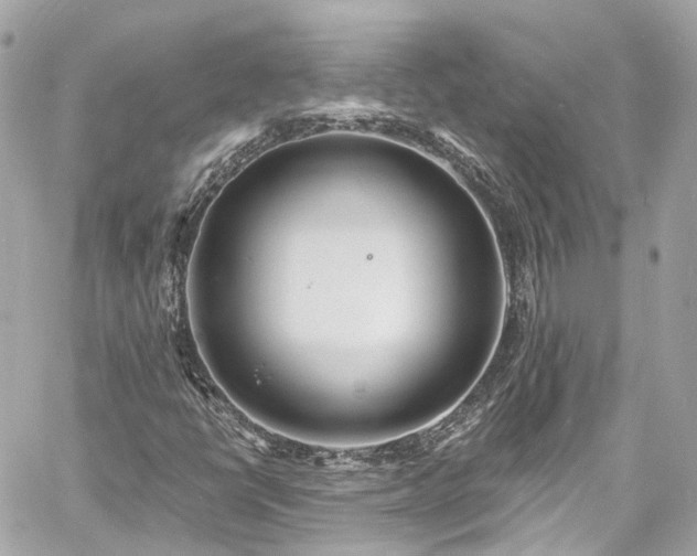 X0000060811398200511141454