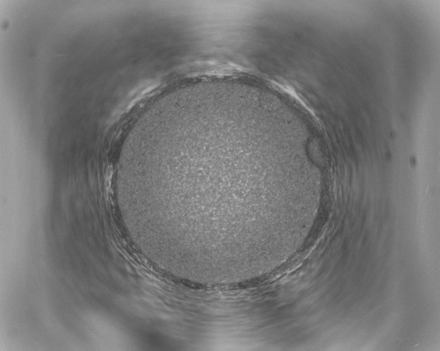 X0000060811399200511141454