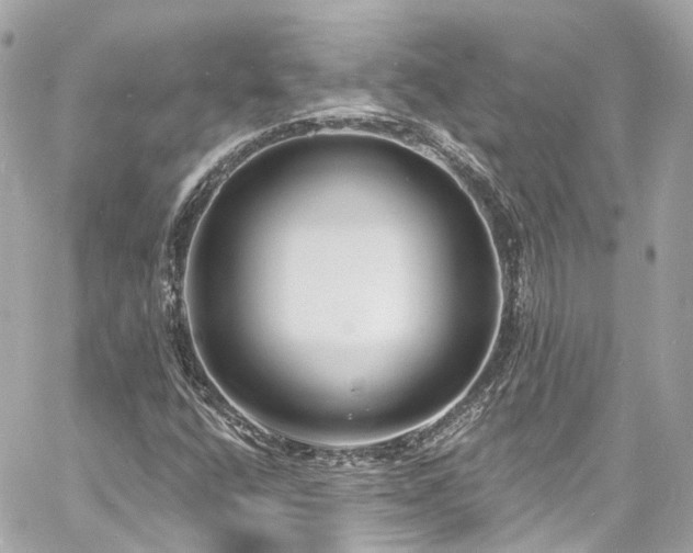 X0000060811400200511141454