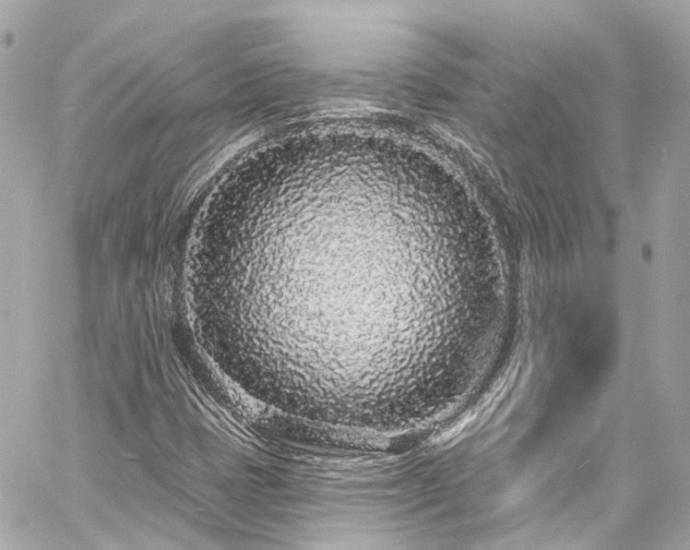 X0000060811401200511141454