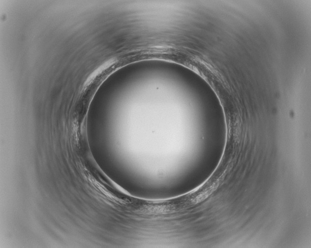 X0000060811402200511141454