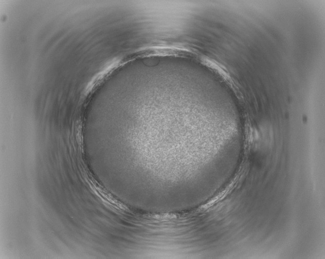 X0000060811403200511141454