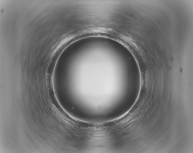 X0000060811404200511141454