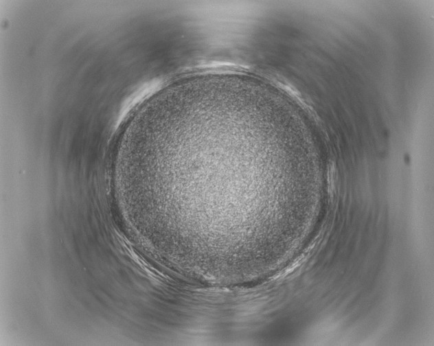 X0000060811405200511141454