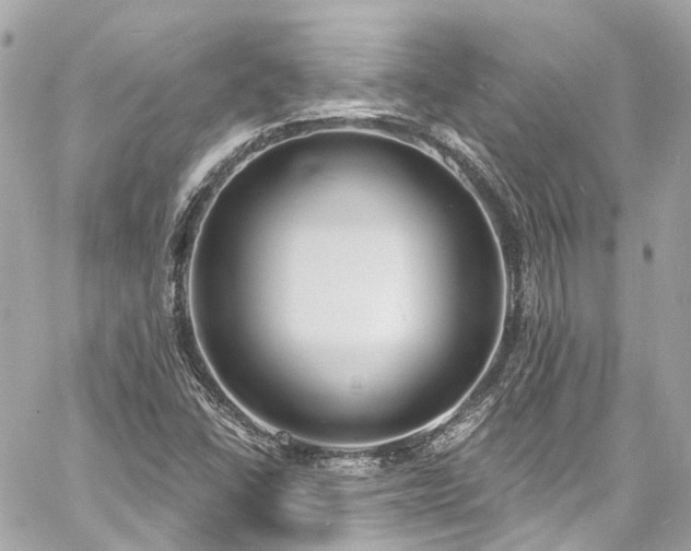 X0000060811406200511141454