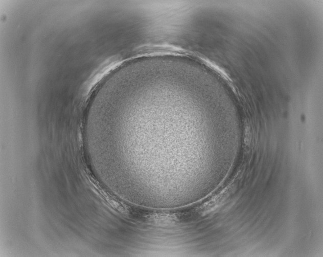 X0000060811407200511141454