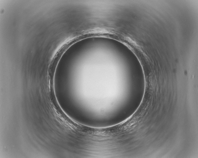 X0000060811408200511141454