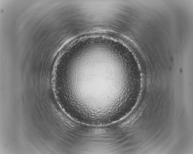 X0000060811409200511141454