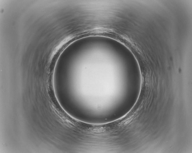 X0000060811410200511141454