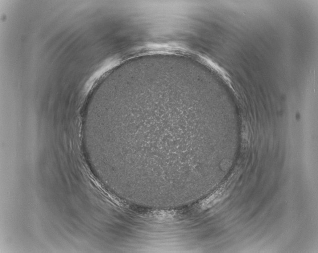 X0000060811411200511141454