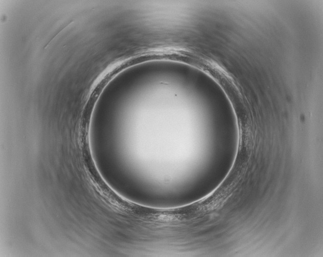 X0000060811412200511141454