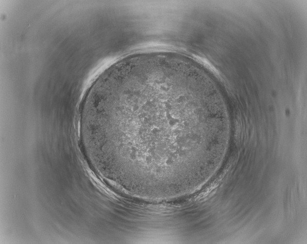 X0000060811413200511141454