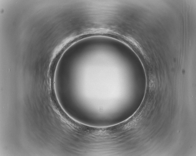 X0000060811414200511141454