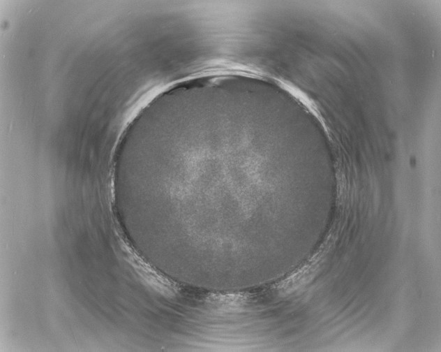 X0000060811415200511141454