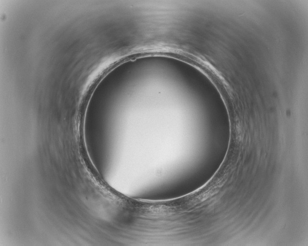 X0000060811416200511141454