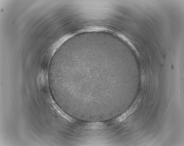 X0000060811417200511141454